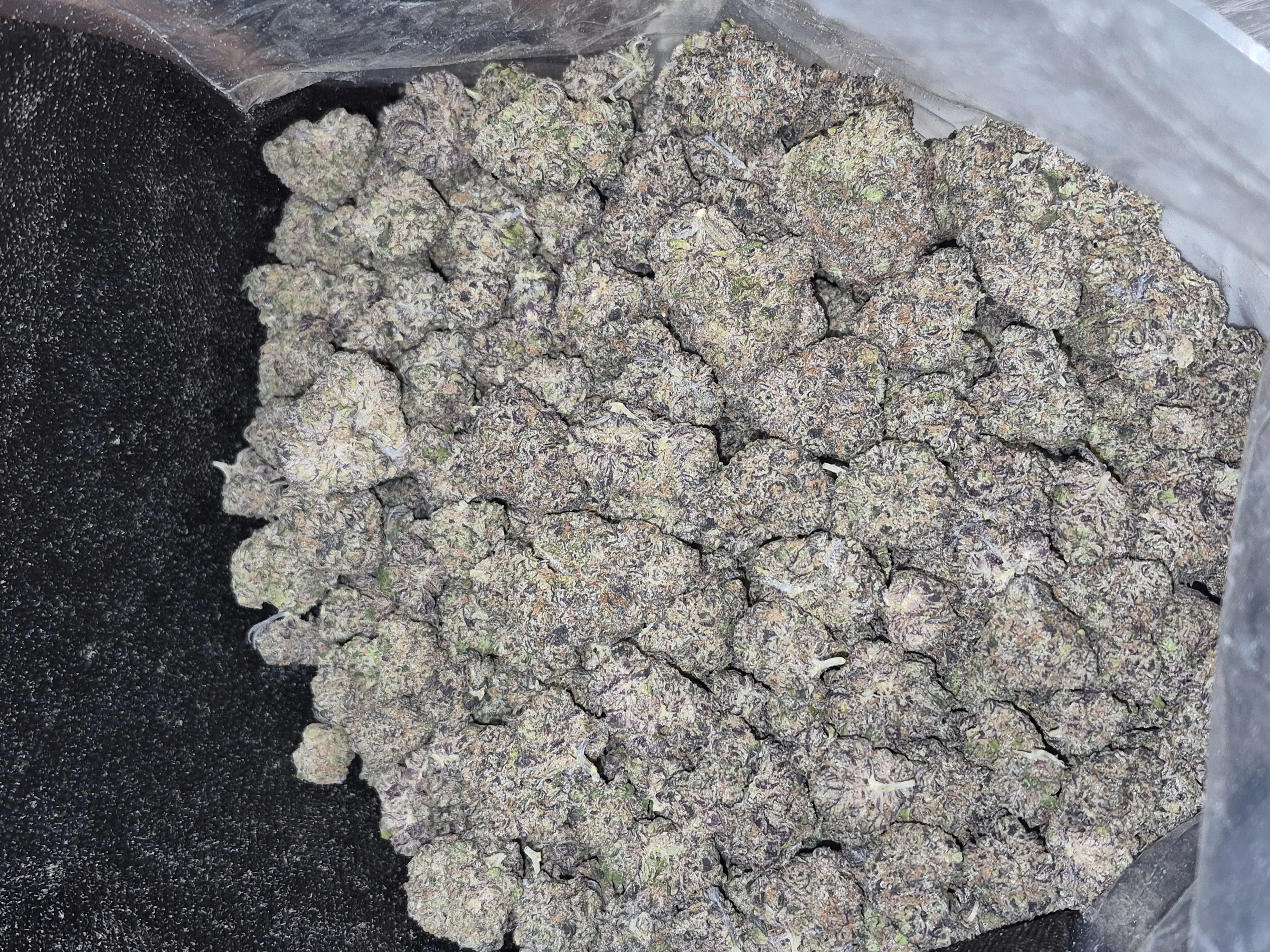Grape Gas Flower